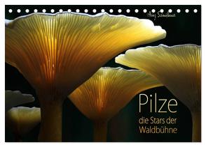 Pilze – die Stars der Waldbühne (Tischkalender 2024 DIN A5 quer), CALVENDO Monatskalender von Schmidbauer,  Heinz