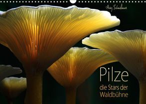 Pilze – die Stars der Waldbühne (Wandkalender 2019 DIN A3 quer) von Schmidbauer,  Heinz