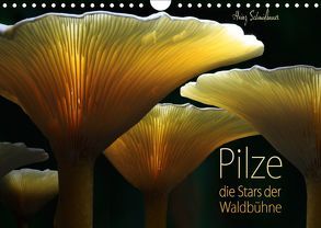 Pilze – die Stars der Waldbühne (Wandkalender 2019 DIN A4 quer) von Schmidbauer,  Heinz