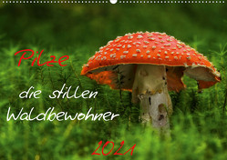 Pilze, die stillen Waldbewohner 2021 (Wandkalender 2021 DIN A2 quer) von Arnold,  Hernegger