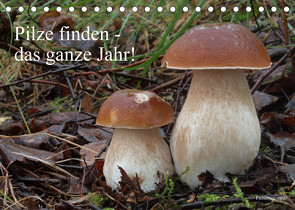 Pilze finden – das ganze Jahr! (Tischkalender 2023 DIN A5 quer) von Bindig,  Rudolf