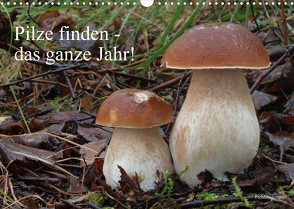 Pilze finden – das ganze Jahr! (Wandkalender 2023 DIN A3 quer) von Bindig,  Rudolf