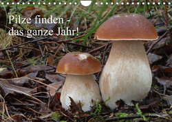 Pilze finden – das ganze Jahr! (Wandkalender 2023 DIN A4 quer) von Bindig,  Rudolf