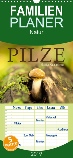 Pilze – fleißige Waldarbeiter – Familienplaner hoch (Wandkalender 2019 , 21 cm x 45 cm, hoch) von Wuchenauer pixelrohkost.de,  Markus