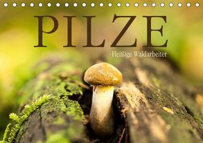 Pilze – fleißige Waldarbeiter (Tischkalender 2019 DIN A5 quer) von Wuchenauer pixelrohkost.de,  Markus