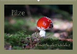 Pilze – Früchte des Waldes (Posterbuch DIN A2 quer) von Flori0,  k.A.
