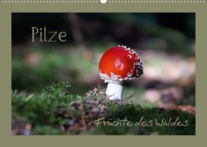 Pilze – Früchte des Waldes (Posterbuch DIN A3 quer) von Flori0,  k.A.
