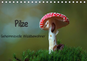 Pilze-Geheimnisvolle Waldbewohner (Tischkalender 2020 DIN A5 quer) von Klapp,  Lutz