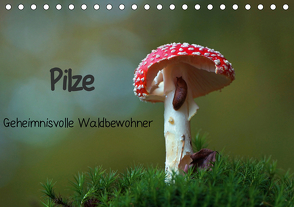 Pilze-Geheimnisvolle Waldbewohner (Tischkalender 2021 DIN A5 quer) von Klapp,  Lutz