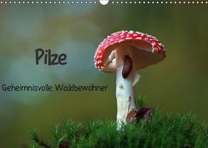 Pilze-Geheimnisvolle Waldbewohner (Wandkalender 2018 DIN A3 quer) von Klapp,  Lutz