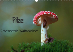 Pilze-Geheimnisvolle Waldbewohner (Wandkalender 2021 DIN A3 quer) von Klapp,  Lutz