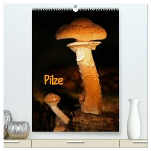 Pilze (hochwertiger Premium Wandkalender 2024 DIN A2 hoch), Kunstdruck in Hochglanz von Berg,  Martina