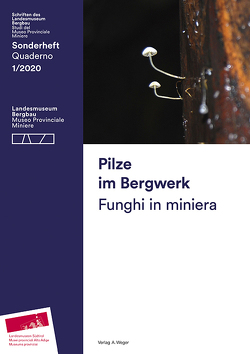 Pilze im Bergwerk. Schriften des Landesmuseum Bergbau Sonderheft 01/2020 von Amrain,  Werner, Terzer,  Christian, Torggler,  Armin