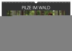 PILZE IM WALD (Wandkalender 2024 DIN A3 quer), CALVENDO Monatskalender von Schellhorn,  Steffen