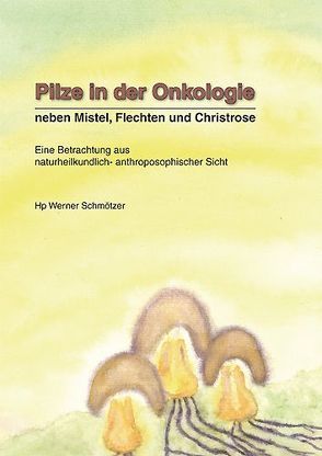 Pilze in der Onkologie von Schmötzer,  Werner