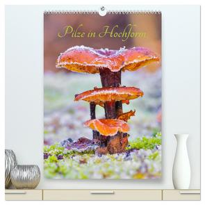 Pilze in Hochform (hochwertiger Premium Wandkalender 2024 DIN A2 hoch), Kunstdruck in Hochglanz von Stenner,  Clemens