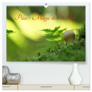 Pilze – Magie des Waldes (hochwertiger Premium Wandkalender 2024 DIN A2 quer), Kunstdruck in Hochglanz von Klapp,  Lutz