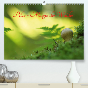 Pilze – Magie des Waldes (Premium, hochwertiger DIN A2 Wandkalender 2021, Kunstdruck in Hochglanz) von Klapp,  Lutz