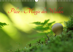 Pilze – Magie des Waldes (Wandkalender 2022 DIN A3 quer) von Klapp,  Lutz