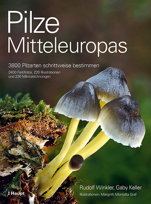 Pilze Mitteleuropas von Keller,  Gaby, Montalta-Graf,  Margrith, Winkler,  Rudolf