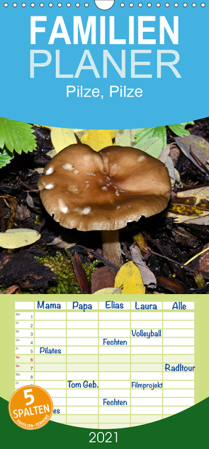 Pilze, Pilze – Familienplaner hoch (Wandkalender 2021 , 21 cm x 45 cm, hoch) von Oechsner,  Richard