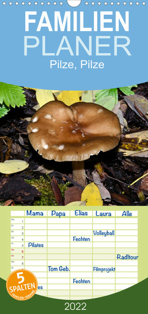 Familienplaner Pilze, Pilze (Wandkalender 2022 , 21 cm x 45 cm, hoch) von Oechsner,  Richard