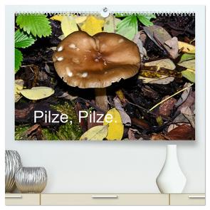 Pilze, Pilze (hochwertiger Premium Wandkalender 2024 DIN A2 quer), Kunstdruck in Hochglanz von Oechsner,  Richard