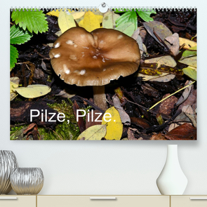 Pilze, Pilze (Premium, hochwertiger DIN A2 Wandkalender 2022, Kunstdruck in Hochglanz) von Oechsner,  Richard