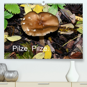 Pilze, Pilze (Premium, hochwertiger DIN A2 Wandkalender 2020, Kunstdruck in Hochglanz) von Oechsner,  Richard