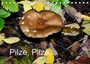 Pilze, Pilze (Tischkalender 2022 DIN A5 quer) von Oechsner,  Richard