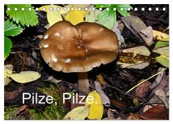 Pilze, Pilze (Tischkalender 2024 DIN A5 quer), CALVENDO Monatskalender von Oechsner,  Richard