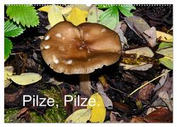 Pilze, Pilze (Wandkalender 2024 DIN A2 quer), CALVENDO Monatskalender von Oechsner,  Richard