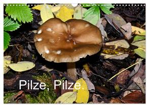Pilze, Pilze (Wandkalender 2024 DIN A3 quer), CALVENDO Monatskalender von Oechsner,  Richard