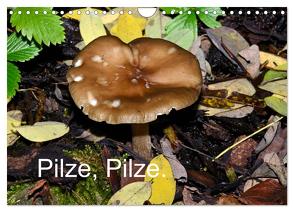 Pilze, Pilze (Wandkalender 2024 DIN A4 quer), CALVENDO Monatskalender von Oechsner,  Richard