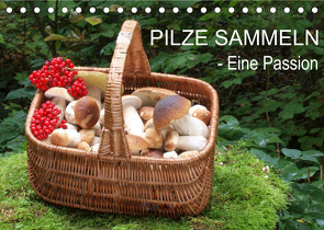 Pilze sammeln – eine Passion (Tischkalender 2023 DIN A5 quer) von Bindig,  Rudolf