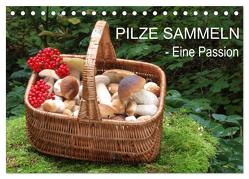 Pilze sammeln – eine Passion (Tischkalender 2024 DIN A5 quer), CALVENDO Monatskalender von Bindig,  Rudolf