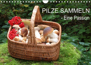 Pilze sammeln – eine Passion (Wandkalender 2023 DIN A4 quer) von Bindig,  Rudolf