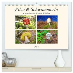 Pilze & Schwammerln (hochwertiger Premium Wandkalender 2024 DIN A2 quer), Kunstdruck in Hochglanz von Kramer,  Christa