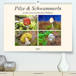 Pilze & Schwammerln (Premium, hochwertiger DIN A2 Wandkalender 2023, Kunstdruck in Hochglanz) von Kramer,  Christa
