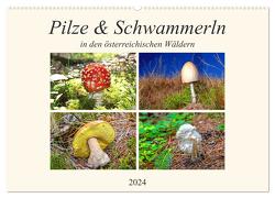 Pilze & Schwammerln (Wandkalender 2024 DIN A2 quer), CALVENDO Monatskalender von Kramer,  Christa
