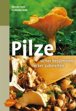 Pilze. Sicher bestimmen, lecker zubereiten von Volk,  Fridhelm, Volk,  Renate