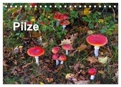 Pilze (Tischkalender 2024 DIN A5 quer), CALVENDO Monatskalender von / Bäsemann / Diehl / Helwig / Pum / Schulz,  McPHOTO