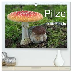 Pilze – tolle Funde (hochwertiger Premium Wandkalender 2024 DIN A2 quer), Kunstdruck in Hochglanz von Bindig,  Rudolf
