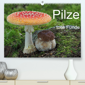 Pilze – tolle Funde (Premium, hochwertiger DIN A2 Wandkalender 2023, Kunstdruck in Hochglanz) von Bindig,  Rudolf