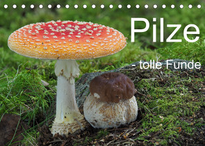 Pilze – tolle Funde (Tischkalender 2023 DIN A5 quer) von Bindig,  Rudolf