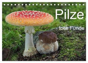 Pilze – tolle Funde (Tischkalender 2024 DIN A5 quer), CALVENDO Monatskalender von Bindig,  Rudolf
