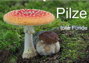 Pilze – tolle Funde (Wandkalender 2023 DIN A2 quer) von Bindig,  Rudolf