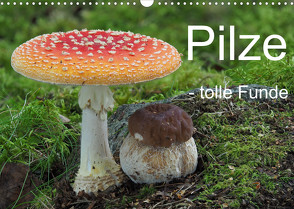 Pilze – tolle Funde (Wandkalender 2023 DIN A3 quer) von Bindig,  Rudolf