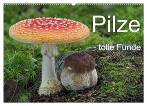 Pilze – tolle Funde (Wandkalender 2024 DIN A2 quer), CALVENDO Monatskalender von Bindig,  Rudolf
