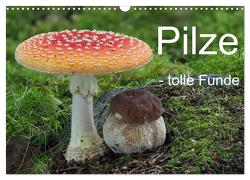 Pilze – tolle Funde (Wandkalender 2024 DIN A3 quer), CALVENDO Monatskalender von Bindig,  Rudolf